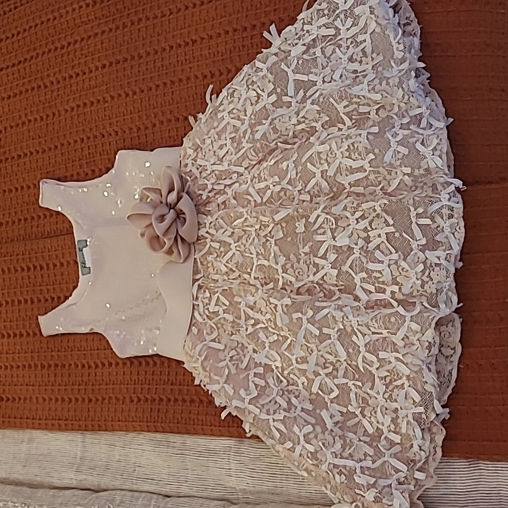 gorgeous and delicate little girl formal dress